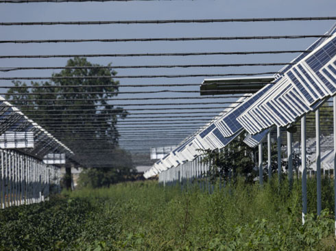 イタリア、革新的な農業用太陽光発電産業に新たなルールを設定