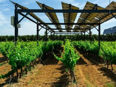 フランスは農業用太陽光発電基準を定義しています

