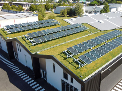 フランスの新興企業が緑の太陽光発電屋根のための新しいソリューションを提供