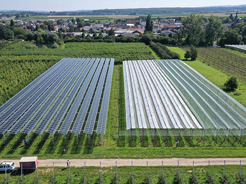 欧州太陽光発電産業協会が新しい農業用太陽光発電ガイドラインを発表